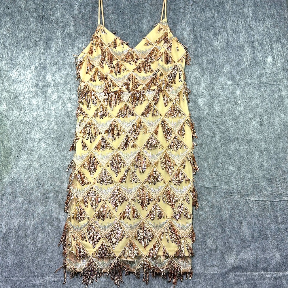 Unbranded Women’s Size Small Spaghetti Strap Flapper Dress Fringed Y2K